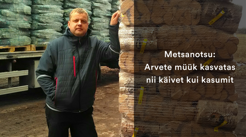 Metsanotsu:  Arvete müük kasvatas  nii käivet kui kasumit
