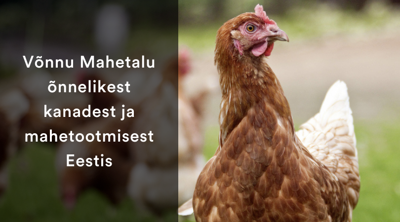 Võnnu Mahetalu õnnelikest kanadest ja mahetootmisest Eestis